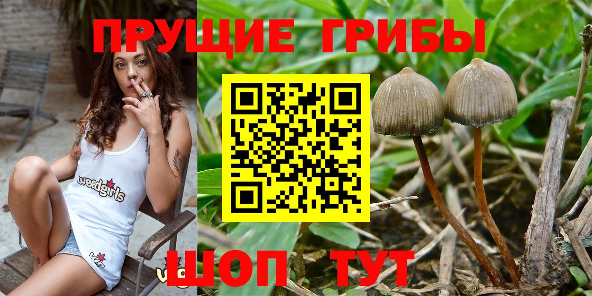 Ликино-Дулёво  Псилоцибиновые грибы MAGIC MUSHROOMS  Вход с VPN 