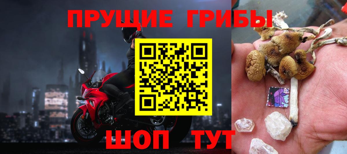 Галлюциногенные грибы Psilocybe Ликино-Дулёво